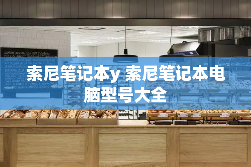索尼笔记本y 索尼笔记本电脑型号大全