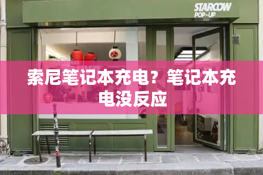 索尼笔记本充电？笔记本充电没反应-第1张图片-星选测评