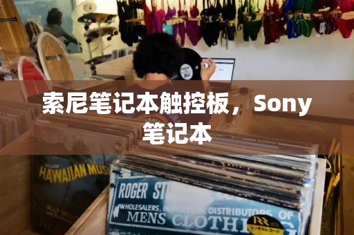 索尼笔记本触控板，Sony笔记本-第1张图片-星选测评