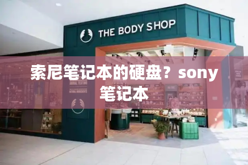 索尼笔记本的硬盘？sony笔记本-第1张图片-星选测评