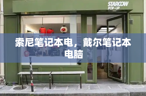 索尼笔记本电，戴尔笔记本电脑-第1张图片-星选测评