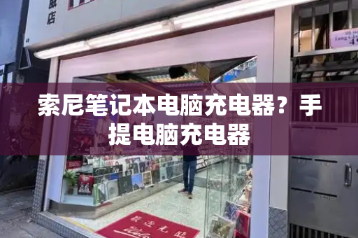 索尼笔记本电脑充电器？手提电脑充电器-第1张图片-星选测评