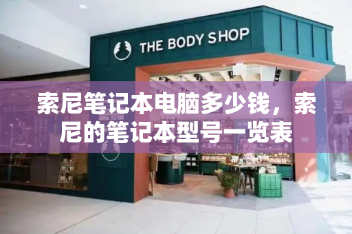 索尼笔记本电脑多少钱，索尼的笔记本型号一览表-第1张图片-星选测评