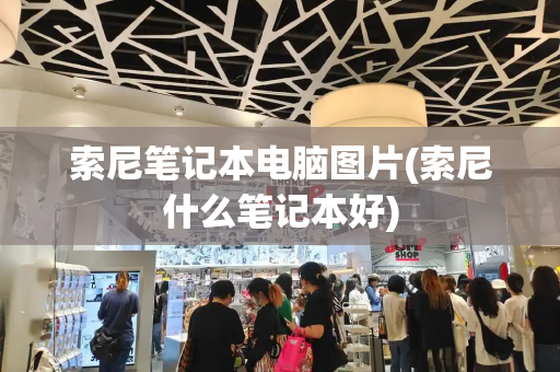 索尼笔记本电脑图片(索尼什么笔记本好)-第1张图片-星选测评