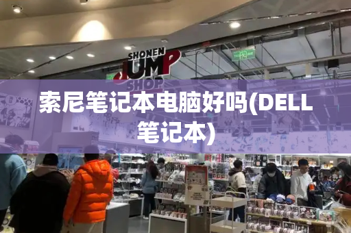 索尼笔记本电脑好吗(DELL笔记本)-第1张图片-星选测评