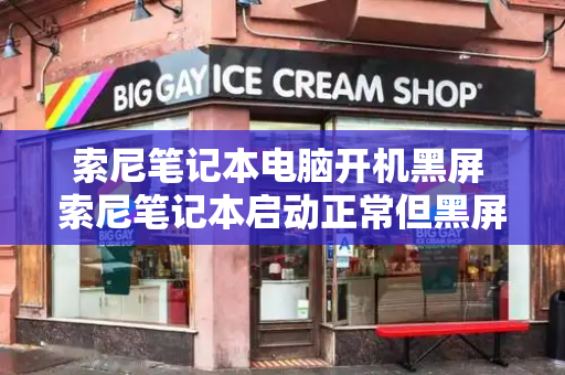索尼笔记本电脑开机黑屏 索尼笔记本启动正常但黑屏
