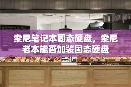索尼笔记本固态硬盘，索尼老本能否加装固态硬盘