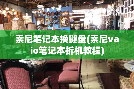 索尼笔记本换键盘(索尼vaio笔记本拆机教程)-第1张图片-星选测评