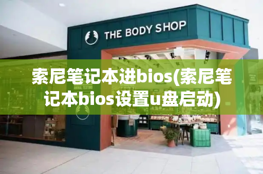索尼笔记本进bios(索尼笔记本bios设置u盘启动)