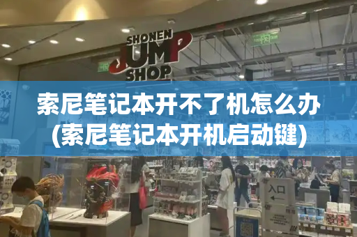索尼笔记本开不了机怎么办(索尼笔记本开机启动键)-第1张图片-星选测评