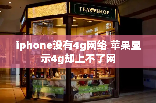 iphone没有4g网络 苹果显示4g却上不了网-第1张图片-星选测评