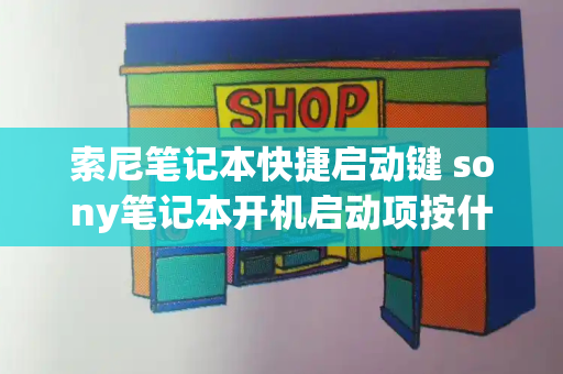 索尼笔记本快捷启动键 sony笔记本开机启动项按什么键