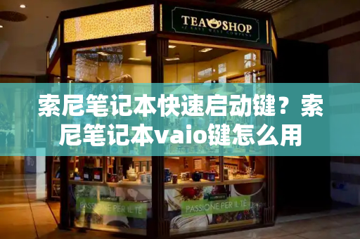 索尼笔记本快速启动键？索尼笔记本vaio键怎么用-第1张图片-星选测评