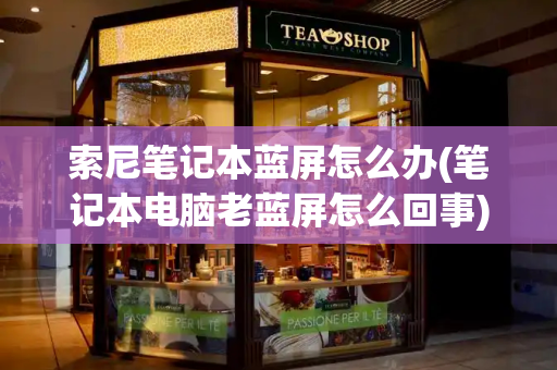 索尼笔记本蓝屏怎么办(笔记本电脑老蓝屏怎么回事)