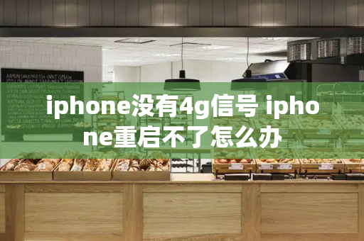 iphone没有4g信号 iphone重启不了怎么办-第1张图片-星选测评