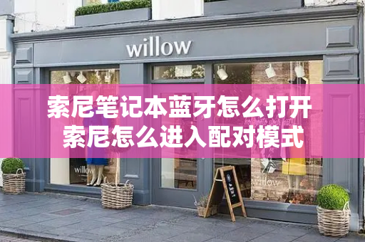索尼笔记本蓝牙怎么打开 索尼怎么进入配对模式-第1张图片-星选测评
