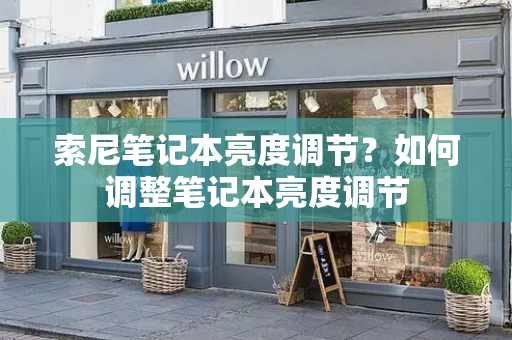 索尼笔记本亮度调节？如何调整笔记本亮度调节-第1张图片-星选测评