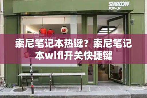 索尼笔记本热键？索尼笔记本wifi开关快捷键-第1张图片-星选测评