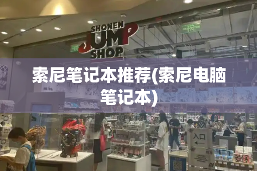 索尼笔记本推荐(索尼电脑笔记本)-第1张图片-星选测评