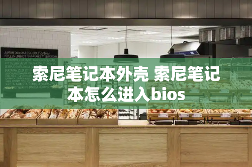 索尼笔记本外壳 索尼笔记本怎么进入bios-第1张图片-星选测评