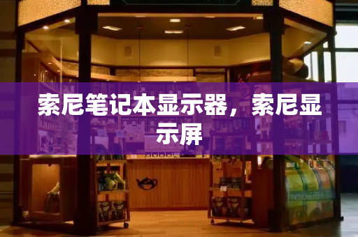 索尼笔记本显示器，索尼显示屏
