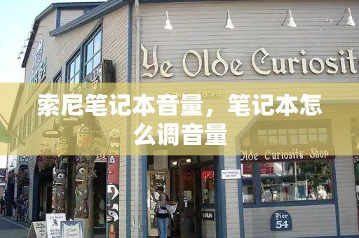 索尼笔记本音量，笔记本怎么调音量