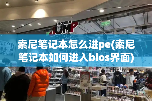 索尼笔记本怎么进pe(索尼笔记本如何进入bios界面)