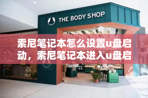 索尼笔记本怎么设置u盘启动，索尼笔记本进入u盘启动项