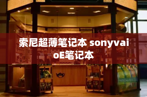索尼超薄笔记本 sonyvaioE笔记本