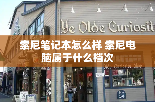 索尼笔记本怎么样 索尼电脑属于什么档次-第1张图片-星选测评