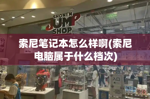 索尼笔记本怎么样啊(索尼电脑属于什么档次)-第1张图片-星选测评