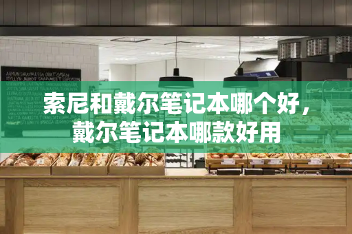 索尼和戴尔笔记本哪个好，戴尔笔记本哪款好用-第1张图片-星选测评