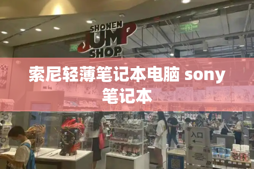索尼轻薄笔记本电脑 sony笔记本
