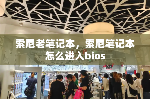 索尼老笔记本，索尼笔记本怎么进入bios