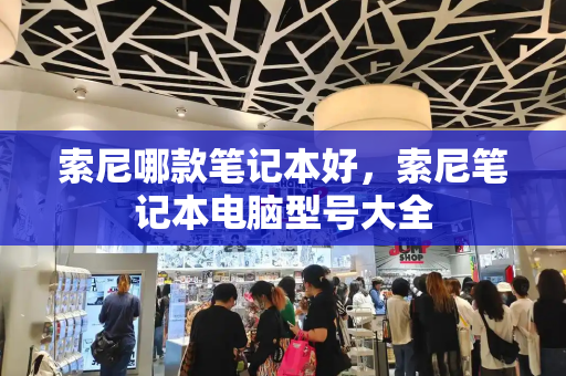 索尼哪款笔记本好，索尼笔记本电脑型号大全-第1张图片-星选测评