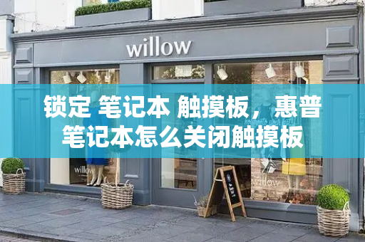锁定 笔记本 触摸板，惠普笔记本怎么关闭触摸板