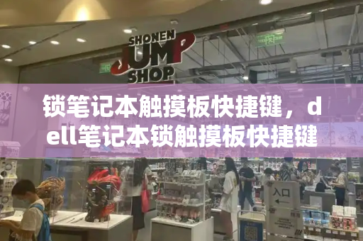 锁笔记本触摸板快捷键，dell笔记本锁触摸板快捷键
