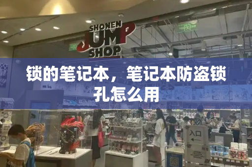 锁的笔记本，笔记本防盗锁孔怎么用-第1张图片-星选测评