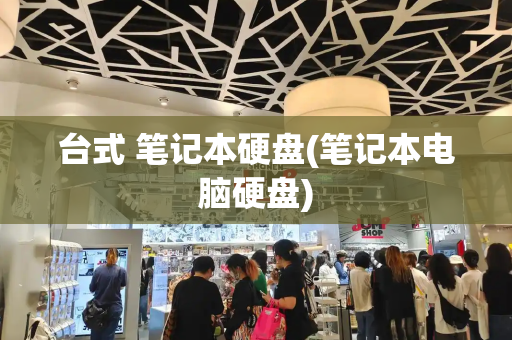 台式 笔记本硬盘(笔记本电脑硬盘)