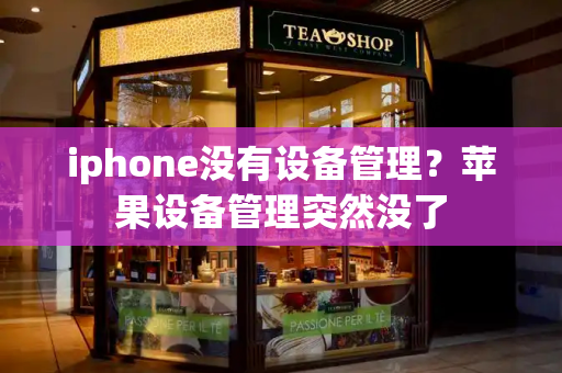 iphone没有设备管理？苹果设备管理突然没了-第1张图片-星选测评