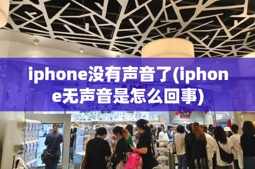 iphone没有声音了(iphone无声音是怎么回事)-第1张图片-星选测评