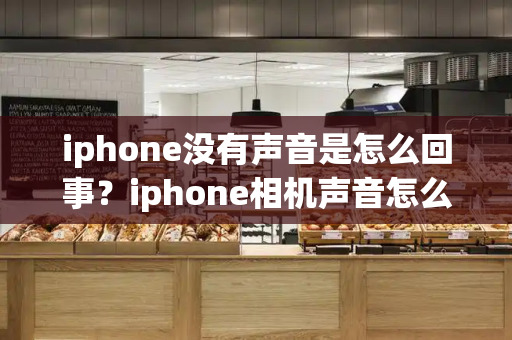 iphone没有声音是怎么回事？iphone相机声音怎么关