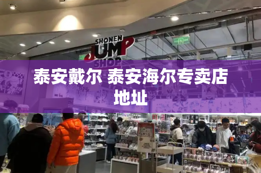 泰安戴尔 泰安海尔专卖店地址
