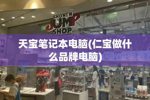 天宝笔记本电脑(仁宝做什么品牌电脑)