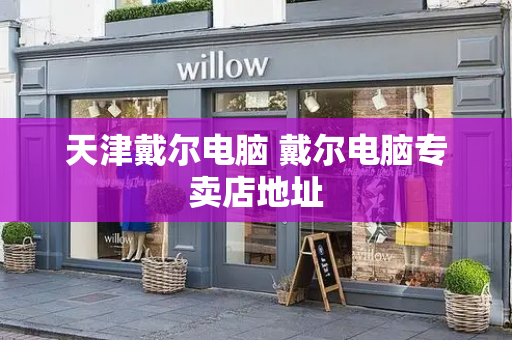 天津戴尔电脑 戴尔电脑专卖店地址-第1张图片-星选测评