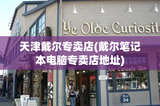 天津戴尔专卖店(戴尔笔记本电脑专卖店地址)-第1张图片-星选测评