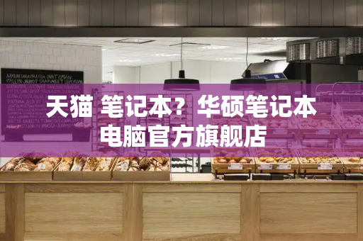 天猫 笔记本？华硕笔记本电脑官方旗舰店-第1张图片-星选测评