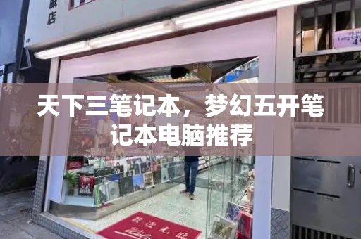 天下三笔记本，梦幻五开笔记本电脑推荐