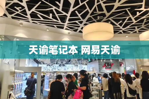 天谕笔记本 网易天谕-第1张图片-星选测评
