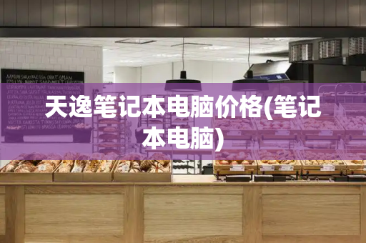 天逸笔记本电脑价格(笔记本电脑)-第1张图片-星选测评